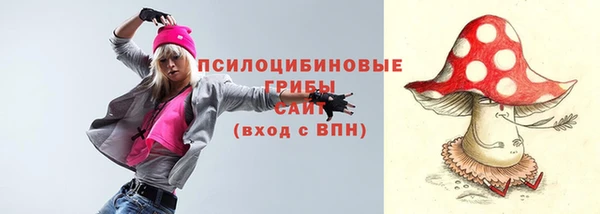 тгк Карпинск