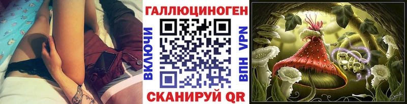 Купить  Борзя  Псилоцибиновые грибы Psilocybine cubensis 